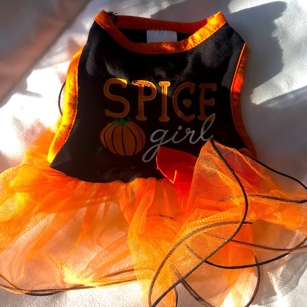 Dog Halloween Costume Spice Girl XS Dog Dress with Tulle and a bling bow